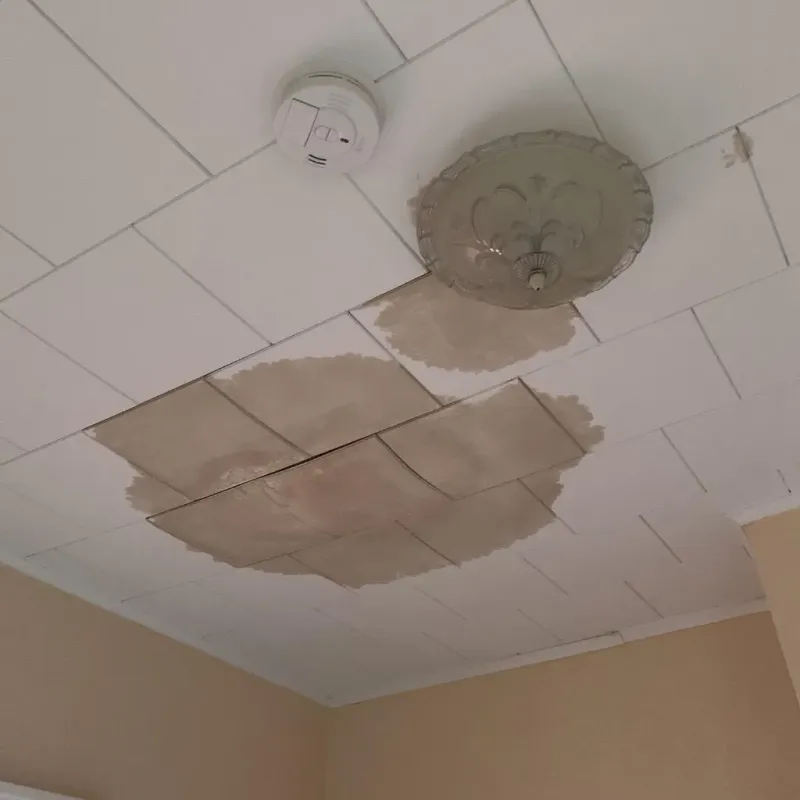 Ceiling Water Damage Repair in Newtown, PA