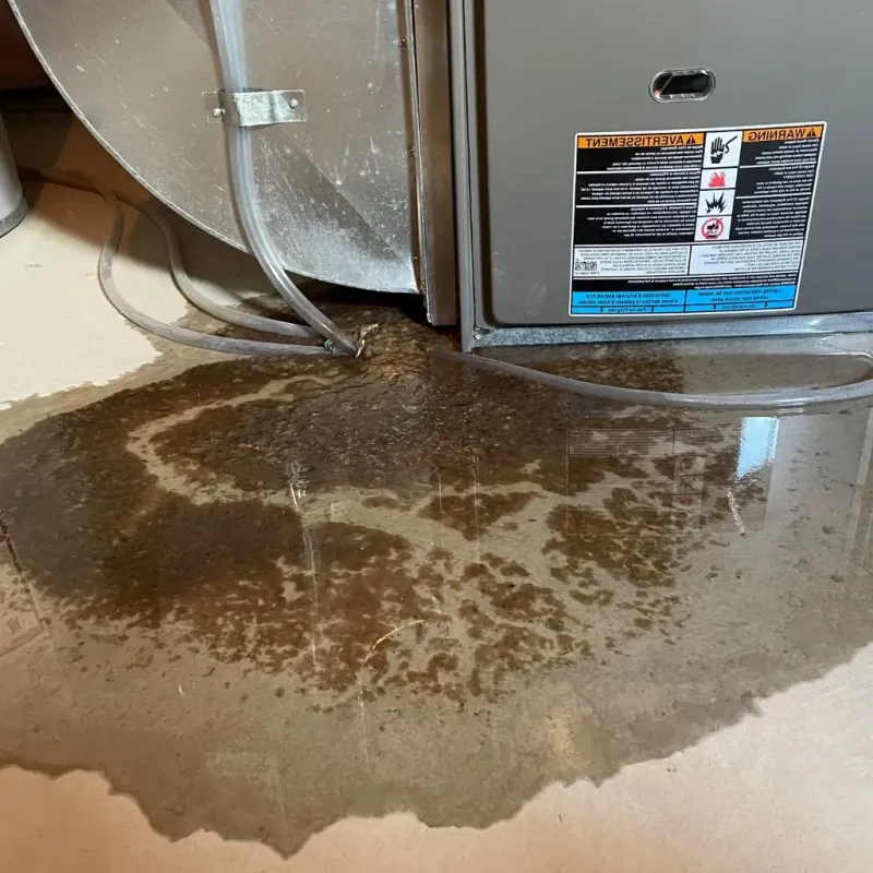 Pipe Burst and Leak Restoration in Newtown, PA
